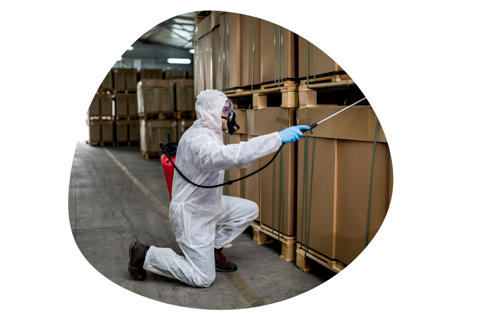 low cost warehouse pests control